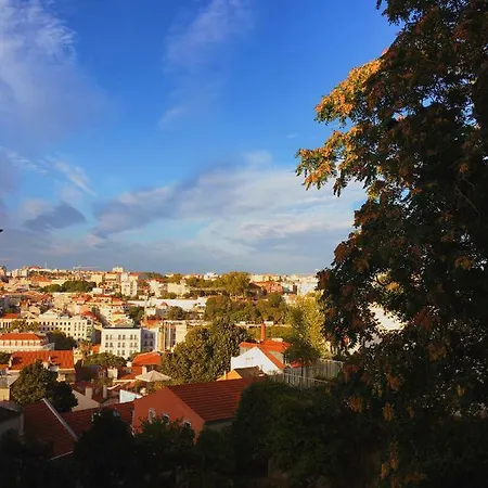 Charm Discovery Principe 7 Apartment